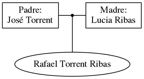 This is a graph with borders and nodes. Maybe there is an Imagemap used so the nodes may be linking to some Pages.