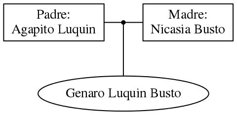 This is a graph with borders and nodes. Maybe there is an Imagemap used so the nodes may be linking to some Pages.