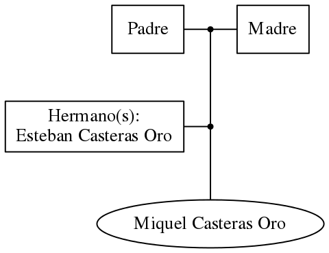 This is a graph with borders and nodes. Maybe there is an Imagemap used so the nodes may be linking to some Pages.