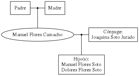 This is a graph with borders and nodes. Maybe there is an Imagemap used so the nodes may be linking to some Pages.