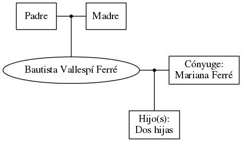 This is a graph with borders and nodes. Maybe there is an Imagemap used so the nodes may be linking to some Pages.