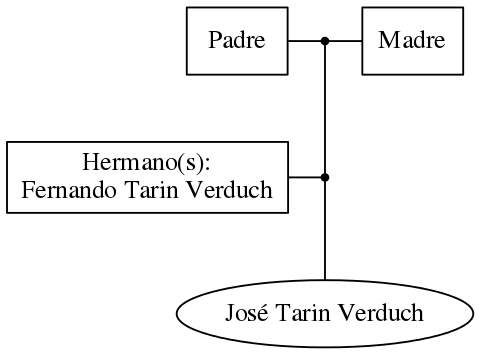 This is a graph with borders and nodes. Maybe there is an Imagemap used so the nodes may be linking to some Pages.