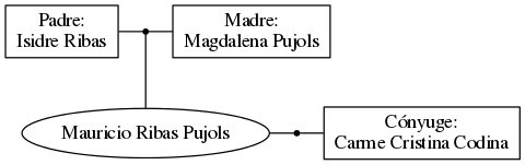 This is a graph with borders and nodes. Maybe there is an Imagemap used so the nodes may be linking to some Pages.