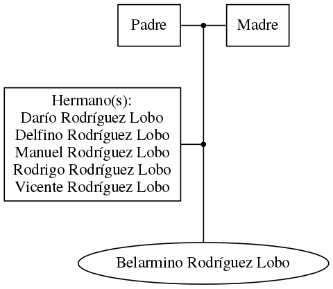 This is a graph with borders and nodes. Maybe there is an Imagemap used so the nodes may be linking to some Pages.