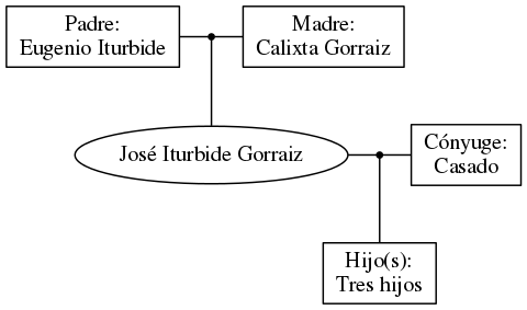 This is a graph with borders and nodes. Maybe there is an Imagemap used so the nodes may be linking to some Pages.