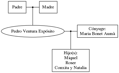 This is a graph with borders and nodes. Maybe there is an Imagemap used so the nodes may be linking to some Pages.