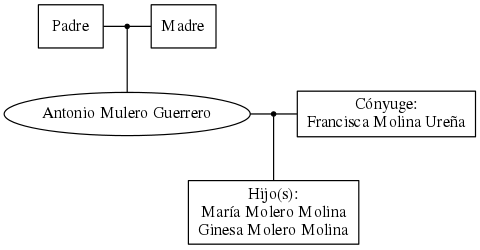 This is a graph with borders and nodes. Maybe there is an Imagemap used so the nodes may be linking to some Pages.