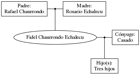 This is a graph with borders and nodes. Maybe there is an Imagemap used so the nodes may be linking to some Pages.