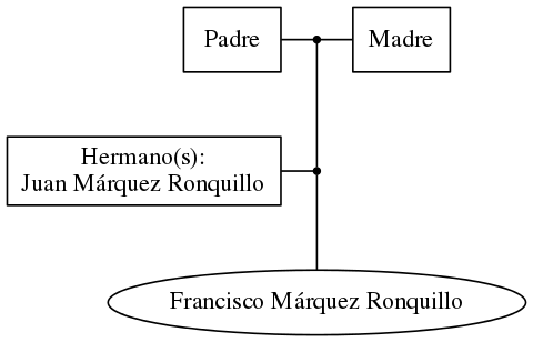 This is a graph with borders and nodes. Maybe there is an Imagemap used so the nodes may be linking to some Pages.