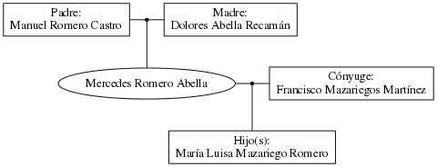 This is a graph with borders and nodes. Maybe there is an Imagemap used so the nodes may be linking to some Pages.