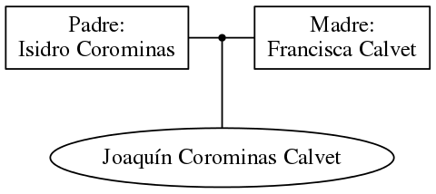 This is a graph with borders and nodes. Maybe there is an Imagemap used so the nodes may be linking to some Pages.