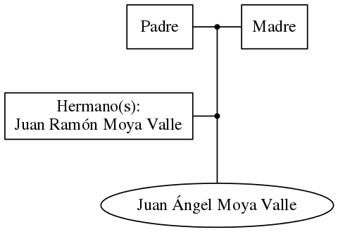 This is a graph with borders and nodes. Maybe there is an Imagemap used so the nodes may be linking to some Pages.