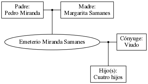 This is a graph with borders and nodes. Maybe there is an Imagemap used so the nodes may be linking to some Pages.