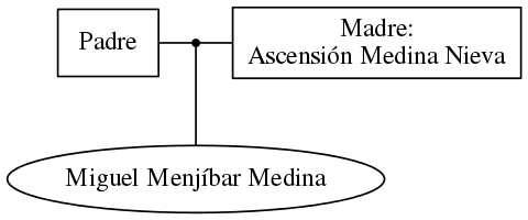 This is a graph with borders and nodes. Maybe there is an Imagemap used so the nodes may be linking to some Pages.