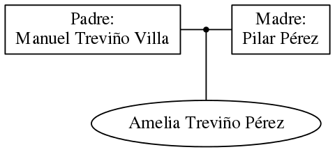 This is a graph with borders and nodes. Maybe there is an Imagemap used so the nodes may be linking to some Pages.