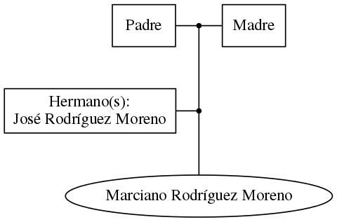 This is a graph with borders and nodes. Maybe there is an Imagemap used so the nodes may be linking to some Pages.