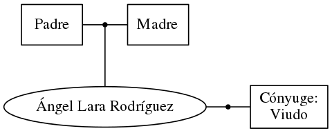 This is a graph with borders and nodes. Maybe there is an Imagemap used so the nodes may be linking to some Pages.