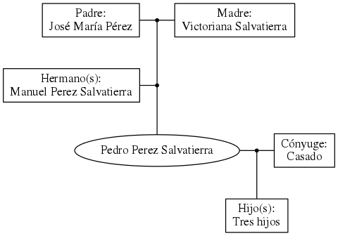 This is a graph with borders and nodes. Maybe there is an Imagemap used so the nodes may be linking to some Pages.