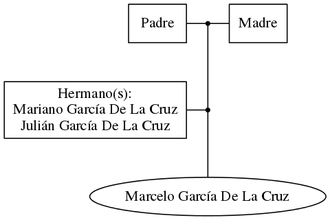 This is a graph with borders and nodes. Maybe there is an Imagemap used so the nodes may be linking to some Pages.