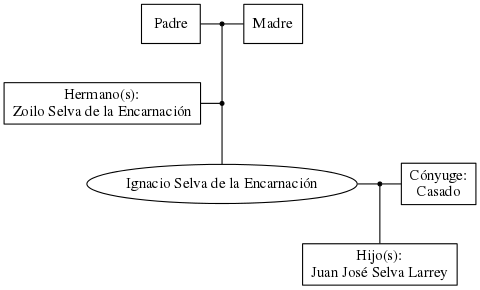 This is a graph with borders and nodes. Maybe there is an Imagemap used so the nodes may be linking to some Pages.