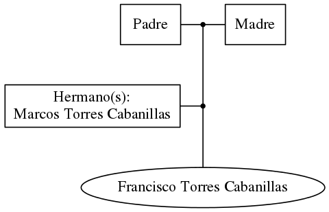 This is a graph with borders and nodes. Maybe there is an Imagemap used so the nodes may be linking to some Pages.