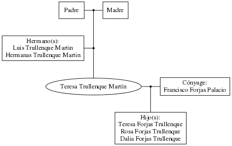 This is a graph with borders and nodes. Maybe there is an Imagemap used so the nodes may be linking to some Pages.