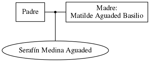 This is a graph with borders and nodes. Maybe there is an Imagemap used so the nodes may be linking to some Pages.