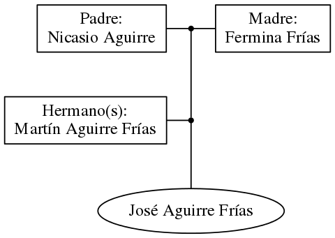 This is a graph with borders and nodes. Maybe there is an Imagemap used so the nodes may be linking to some Pages.