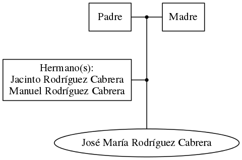 This is a graph with borders and nodes. Maybe there is an Imagemap used so the nodes may be linking to some Pages.