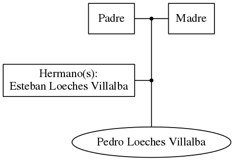 This is a graph with borders and nodes. Maybe there is an Imagemap used so the nodes may be linking to some Pages.