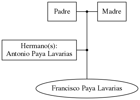 This is a graph with borders and nodes. Maybe there is an Imagemap used so the nodes may be linking to some Pages.