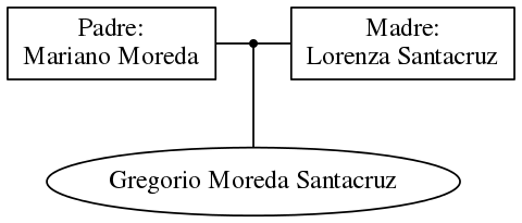 This is a graph with borders and nodes. Maybe there is an Imagemap used so the nodes may be linking to some Pages.