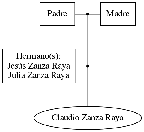 This is a graph with borders and nodes. Maybe there is an Imagemap used so the nodes may be linking to some Pages.