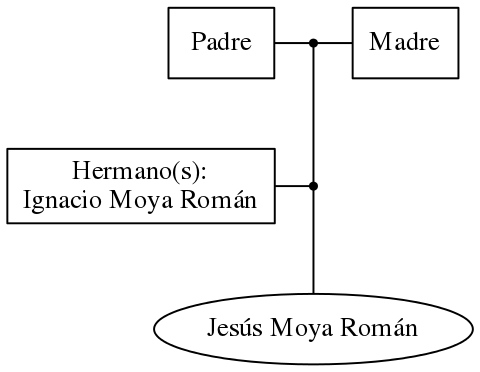 This is a graph with borders and nodes. Maybe there is an Imagemap used so the nodes may be linking to some Pages.