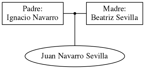 This is a graph with borders and nodes. Maybe there is an Imagemap used so the nodes may be linking to some Pages.