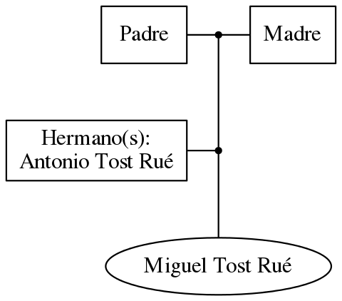 This is a graph with borders and nodes. Maybe there is an Imagemap used so the nodes may be linking to some Pages.