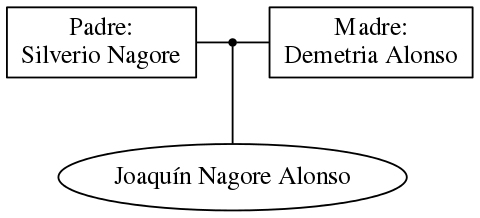 This is a graph with borders and nodes. Maybe there is an Imagemap used so the nodes may be linking to some Pages.