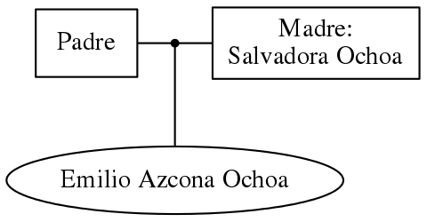 This is a graph with borders and nodes. Maybe there is an Imagemap used so the nodes may be linking to some Pages.