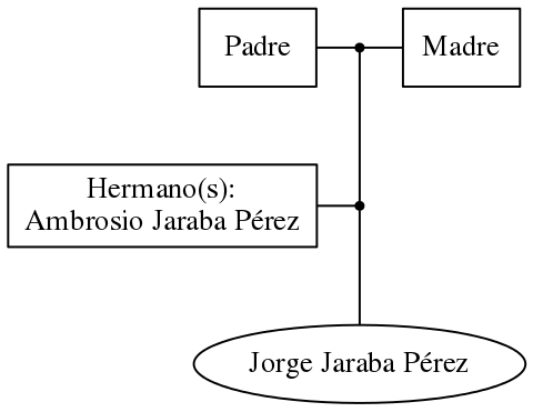 This is a graph with borders and nodes. Maybe there is an Imagemap used so the nodes may be linking to some Pages.