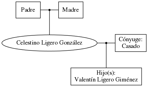 This is a graph with borders and nodes. Maybe there is an Imagemap used so the nodes may be linking to some Pages.