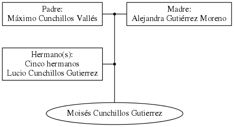 This is a graph with borders and nodes. Maybe there is an Imagemap used so the nodes may be linking to some Pages.