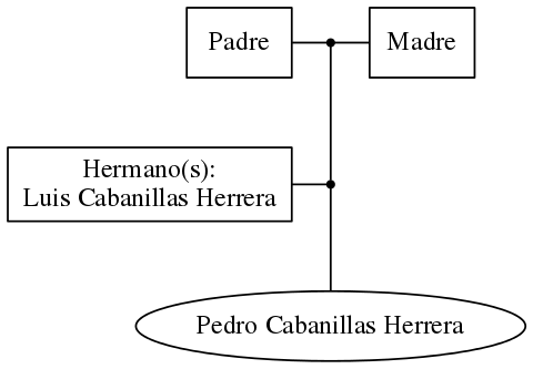 This is a graph with borders and nodes. Maybe there is an Imagemap used so the nodes may be linking to some Pages.