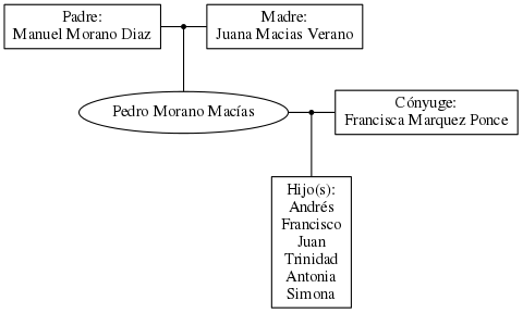 This is a graph with borders and nodes. Maybe there is an Imagemap used so the nodes may be linking to some Pages.