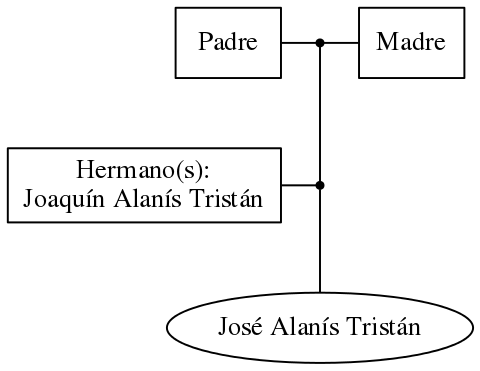 This is a graph with borders and nodes. Maybe there is an Imagemap used so the nodes may be linking to some Pages.