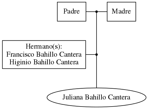 This is a graph with borders and nodes. Maybe there is an Imagemap used so the nodes may be linking to some Pages.