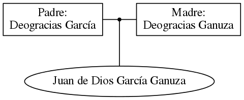 This is a graph with borders and nodes. Maybe there is an Imagemap used so the nodes may be linking to some Pages.