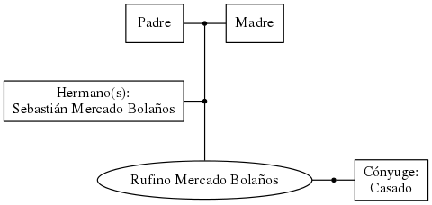 This is a graph with borders and nodes. Maybe there is an Imagemap used so the nodes may be linking to some Pages.