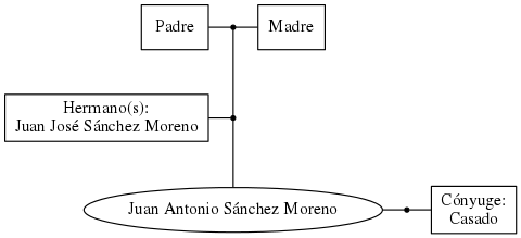 This is a graph with borders and nodes. Maybe there is an Imagemap used so the nodes may be linking to some Pages.