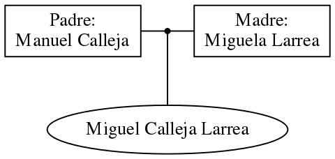 This is a graph with borders and nodes. Maybe there is an Imagemap used so the nodes may be linking to some Pages.