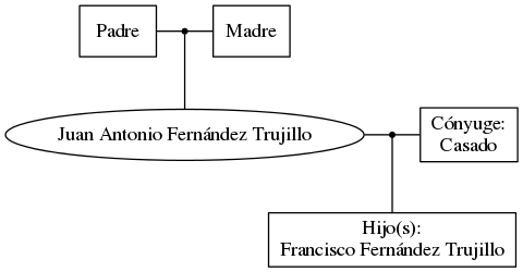 This is a graph with borders and nodes. Maybe there is an Imagemap used so the nodes may be linking to some Pages.